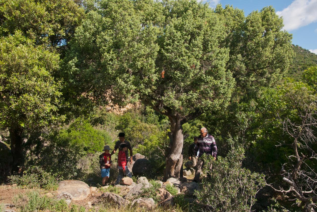 Annunziata  Hotel I Menhirs מראה חיצוני תמונה