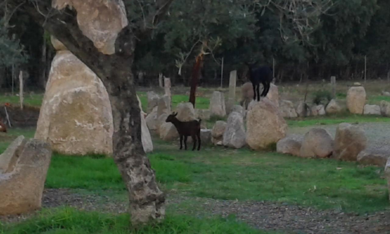Annunziata  Hotel I Menhirs מראה חיצוני תמונה